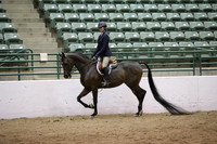 R319_MonPM_2028