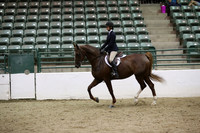 Class 63 AHA Hunter Seat Equitation Not to Jump Medal JTR 18 yrs & under