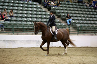 R319_MonPM_2067