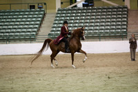R319_MonPM_2121
