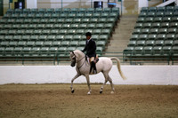 Class 67 Arabian Hunter Pleasure Open