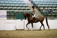 R319_MonPM_2237