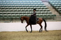 Class 68 Arabian Ladies Side Saddle ATR