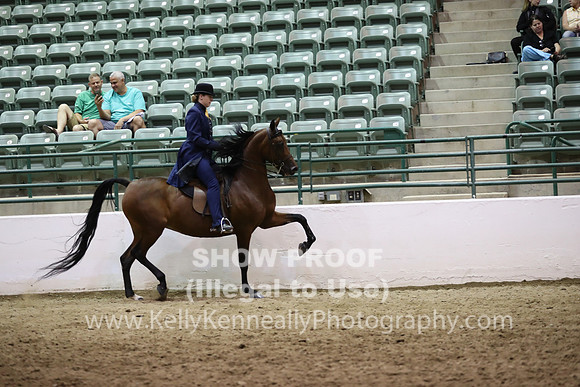 R319_MonPM_2366
