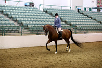 Class 73 HA/AA Hunter Pleasure AAOTR 19 Yrs and Over