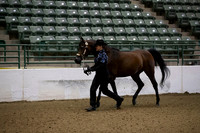 R319_MonAM_0005