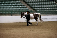 Class 1 - 4 Showmanship