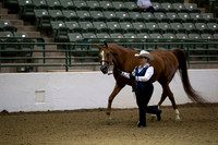 R319_MonAM_0009