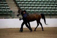 R319_MonAM_0006