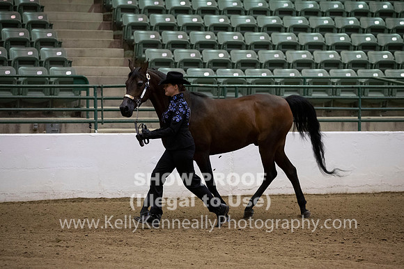 R319_MonAM_0006