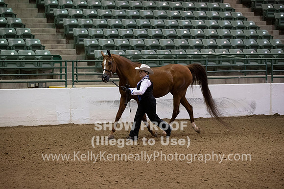 R319_MonAM_0010