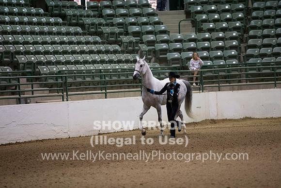 R319_MonAM_0011