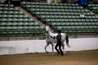 R319_MonAM_0012