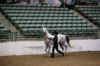 R319_MonAM_0013