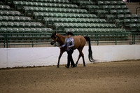 R319_MonAM_0019
