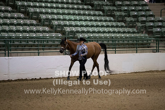 R319_MonAM_0019