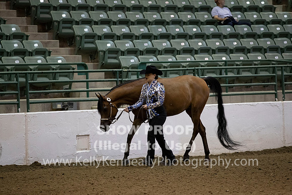 R319_MonAM_0021