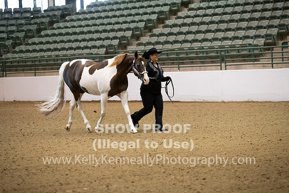 R319_MonAM_0027