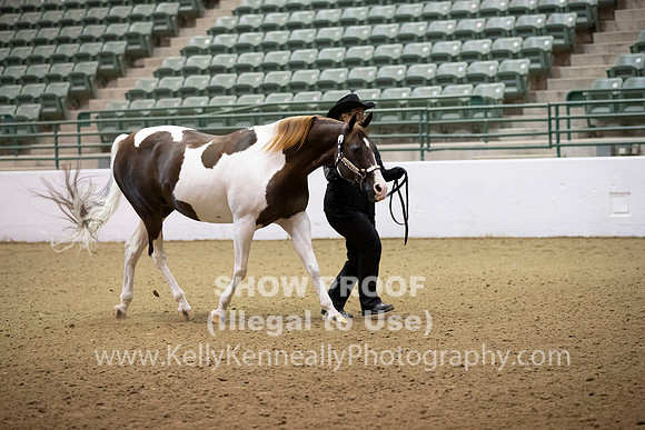 R319_MonAM_0028