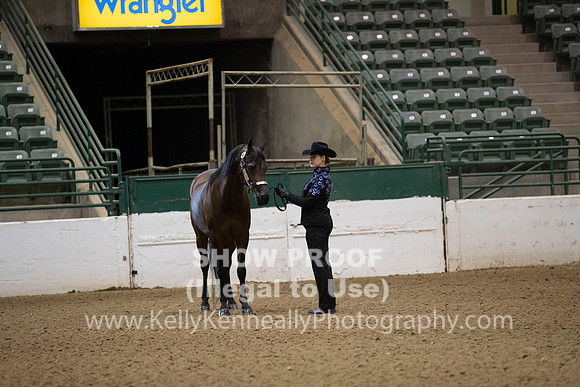 R319_MonAM_0034