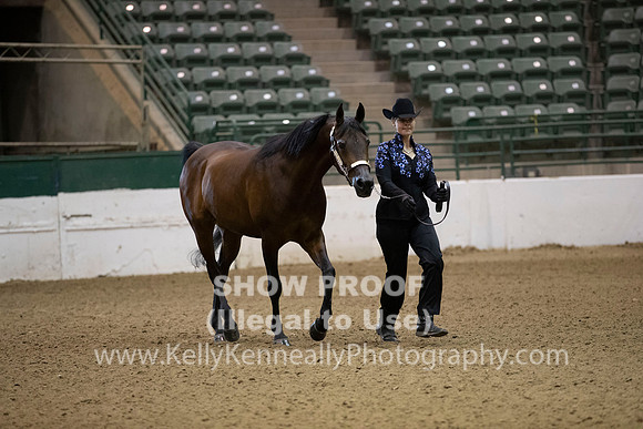 R319_MonAM_0037