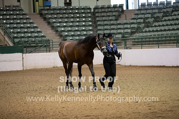 R319_MonAM_0038