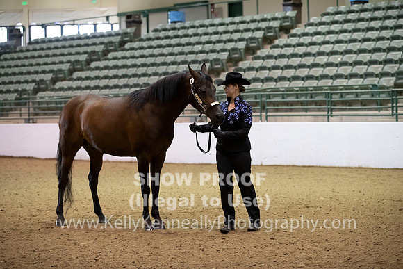 R319_MonAM_0039