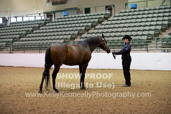 R319_MonAM_0041