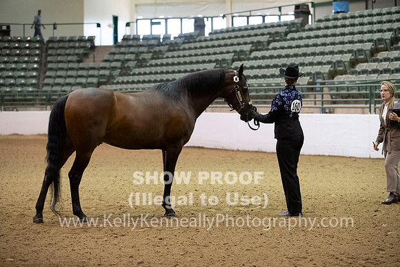 R319_MonAM_0043