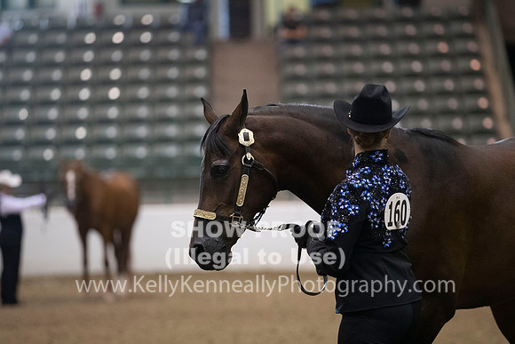 R319_MonAM_0045