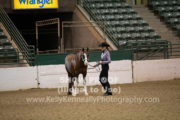 R319_MonAM_0047