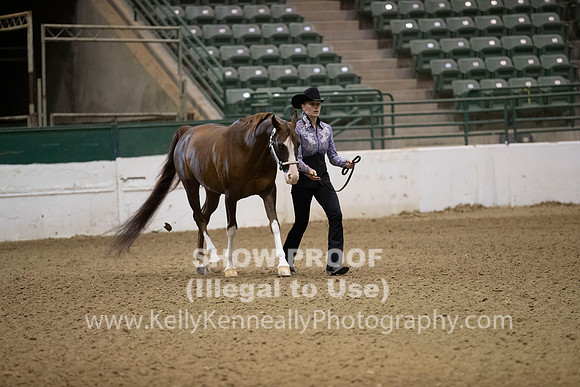 R319_MonAM_0048