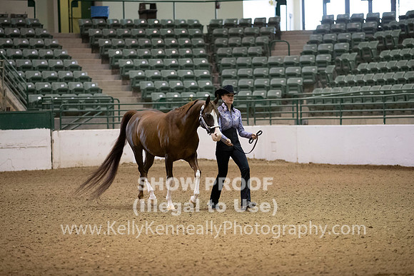 R319_MonAM_0049