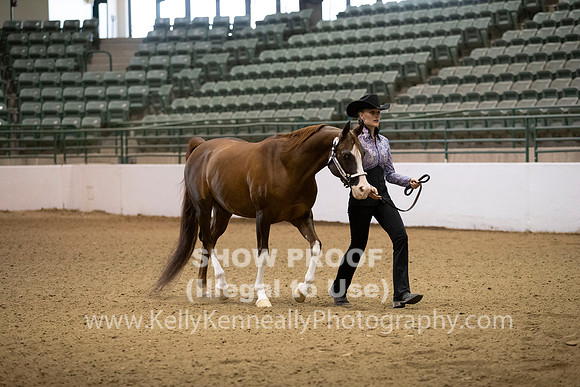 R319_MonAM_0050