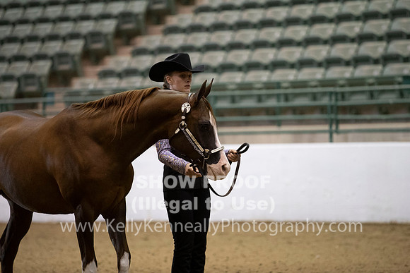 R319_MonAM_0051