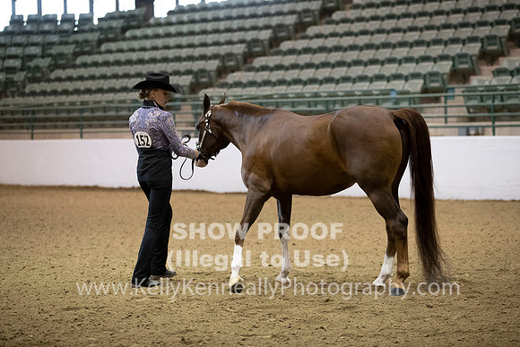 R319_MonAM_0053
