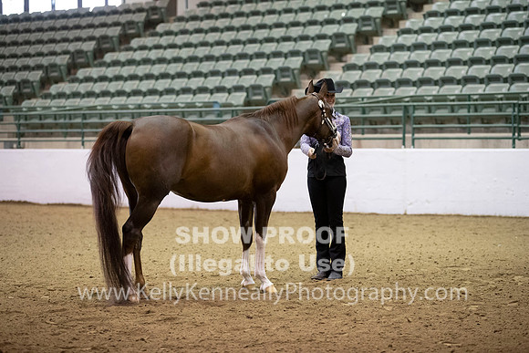 R319_MonAM_0054
