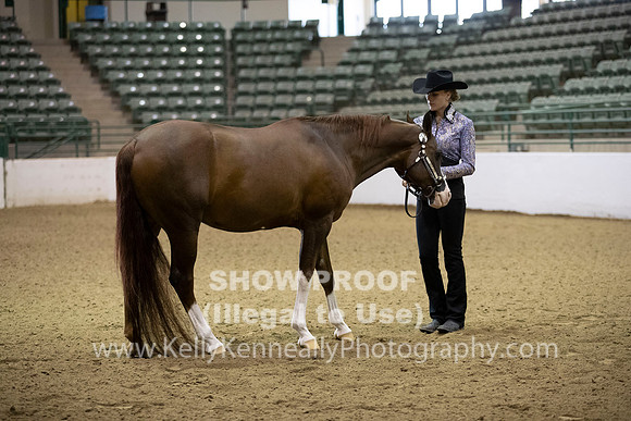 R319_MonAM_0057