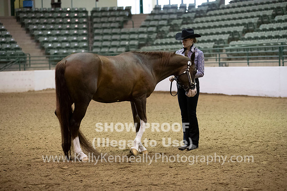 R319_MonAM_0056