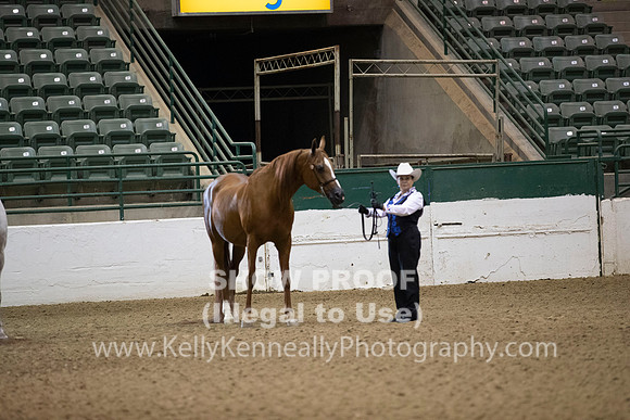 R319_MonAM_0061