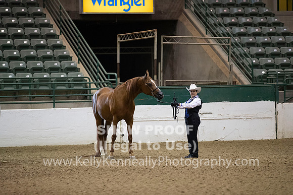 R319_MonAM_0062