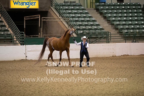 R319_MonAM_0063