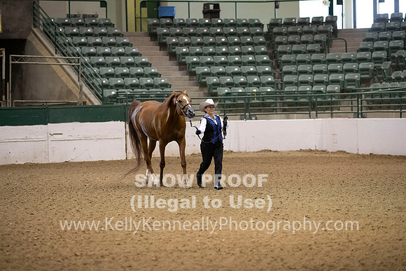 R319_MonAM_0064