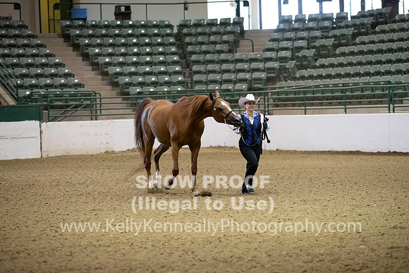 R319_MonAM_0065