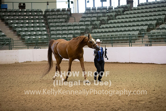 R319_MonAM_0066