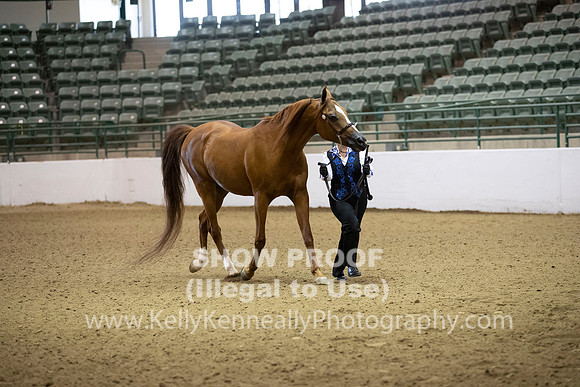 R319_MonAM_0067