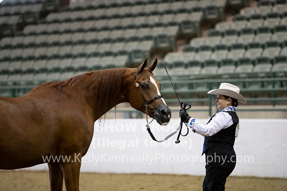 R319_MonAM_0074