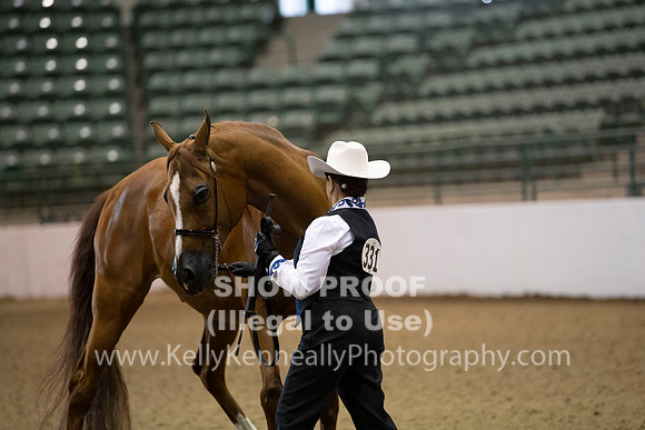 R319_MonAM_0075