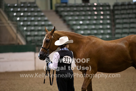R319_MonAM_0077
