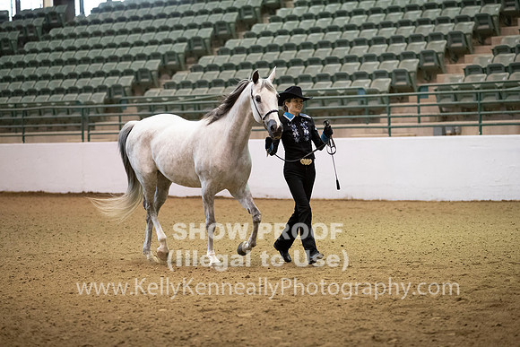 R319_MonAM_0083
